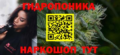 тгк Камышлов