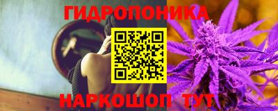 тгк Камышлов