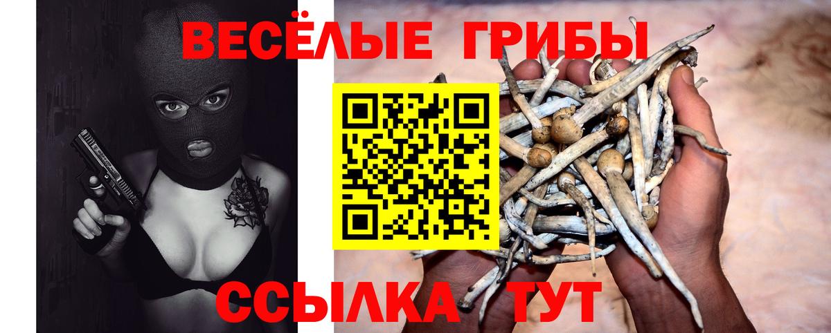 Галлюциногенные грибы Magic Shrooms  Вход с VPN  Псилоцибиновые грибы GOLDEN TEACHER  Лабытнанги 