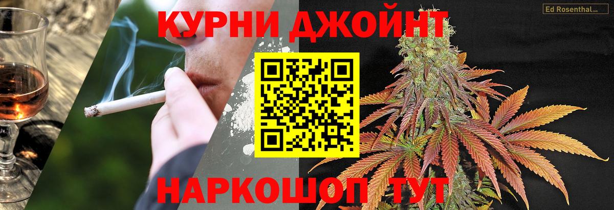 Канабис сатива Лабытнанги